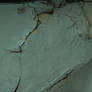 Texture 5