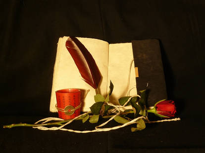 Book and rose 3