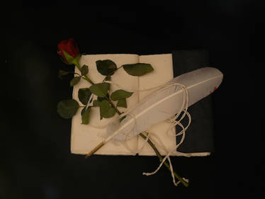 Book and rose 6