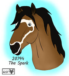 20794 The Spark