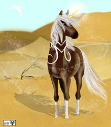 Dune Song