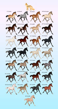 Wyndshard Farms Spring Foal Auction - CLOSED
