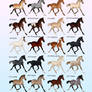 Wyndshard Farms Spring Foal Auction
