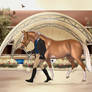 Our Own Tune - TIHR Symphony of Stallions 2026
