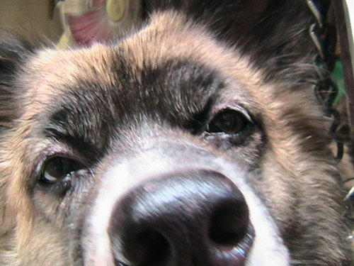 Rambo Jay by rambojay09 on DeviantArt