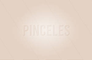 Pincccc