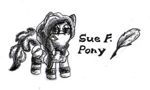 Sue's Pony