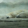 Slumbering Bears