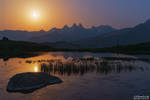 In Solitude Forlorn by NicolasAlexanderOtto