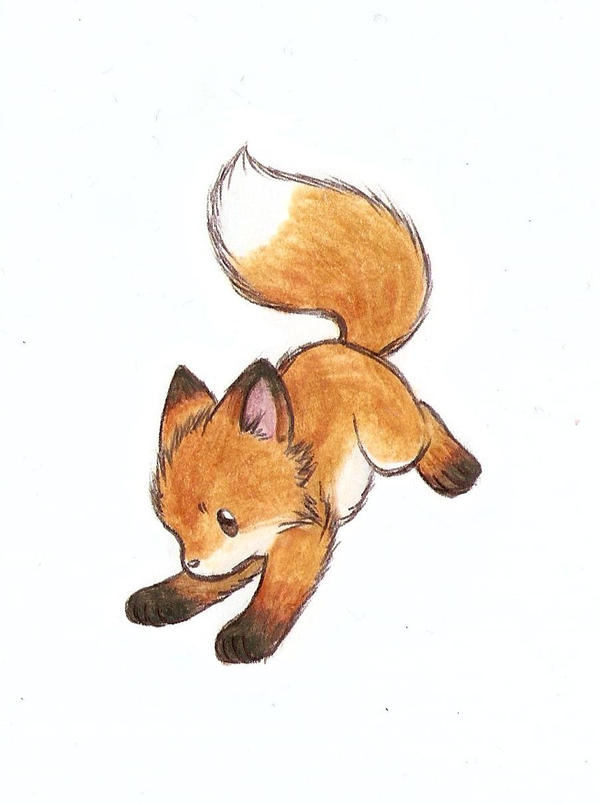 Little fox III
