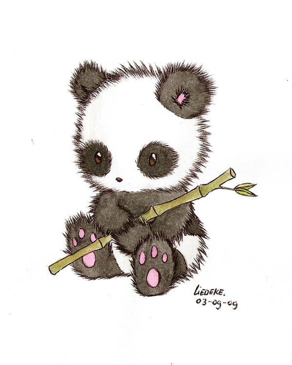 little panda