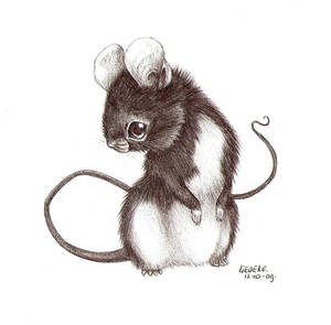 mouse....