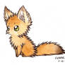 fluffy fennec fox