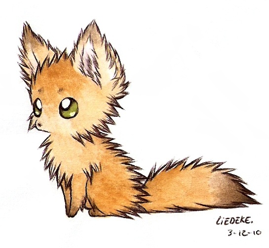 fluffy fennec fox by Liedeke on DeviantArt