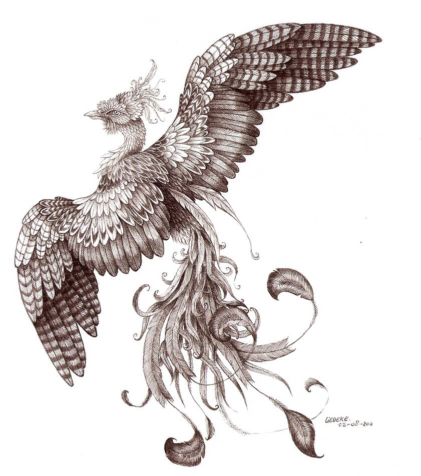 Phoenix uncolored by Liedeke