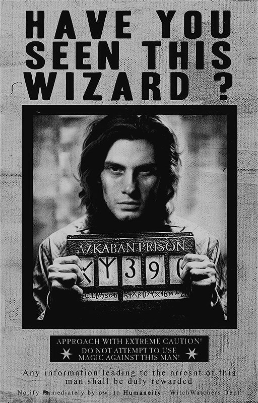 Have You Seen This Wizard? – Mais um Leitor