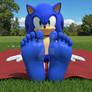 COMMISSIONS OPEN! - Sonic shows his feet 1