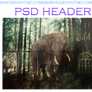 psd header #wild life