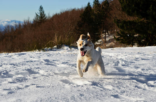 Running on the snow