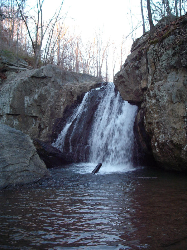 Falling Branch by white-walls on DeviantArt