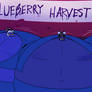 The Blueberry Harvest Festival