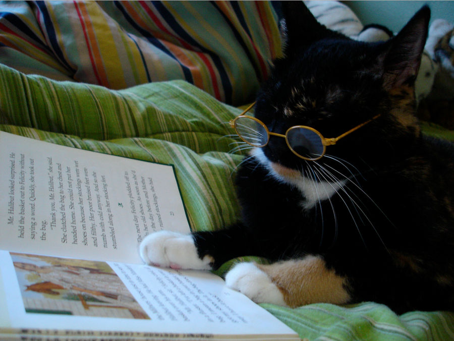 Kitty Reading