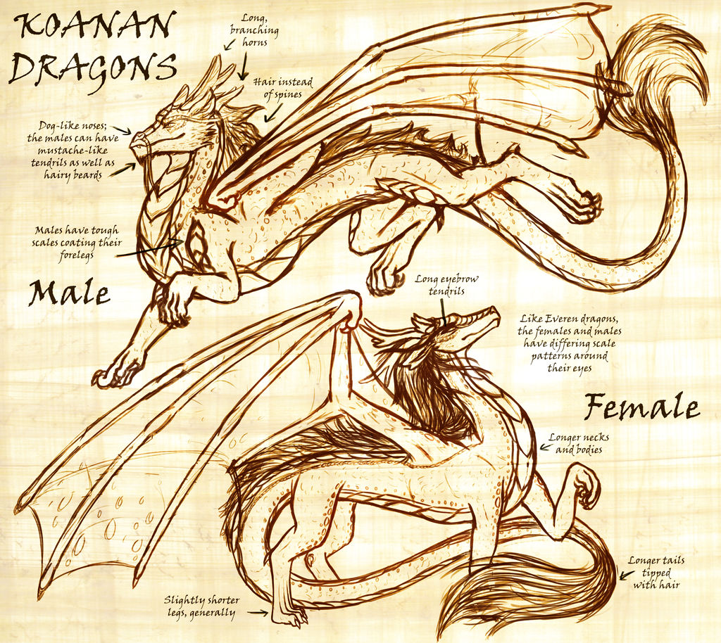 Koanan Dragons (Updated) by InkRose98