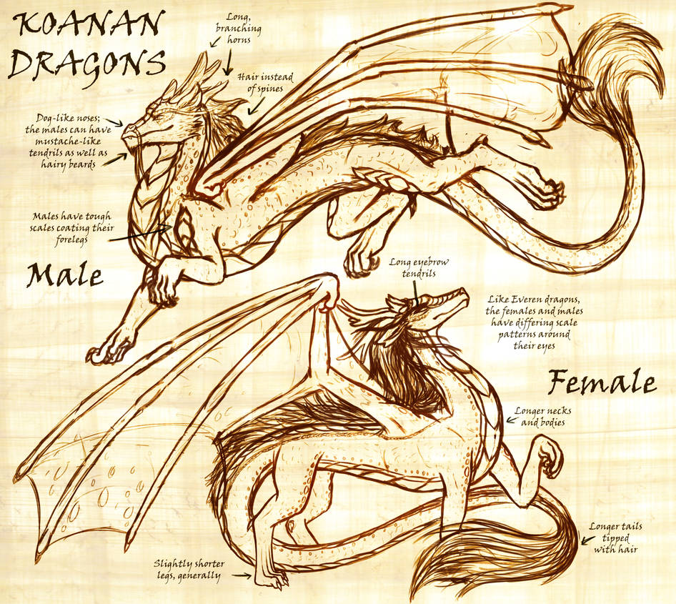 Koanan Dragons (Updated) by InkRose98