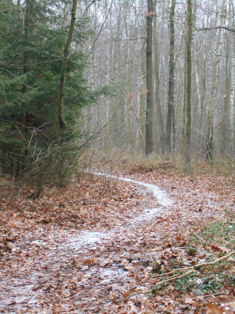 White Path Pattern White Path by Qulithinoren on DeviantArt