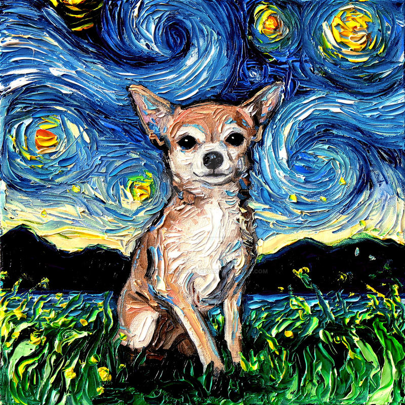 Chihuahua Night