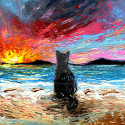Beach Days - Black Cat