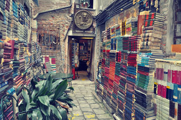 Venice Bookstore III