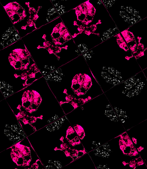 pink skull wallpaper 02