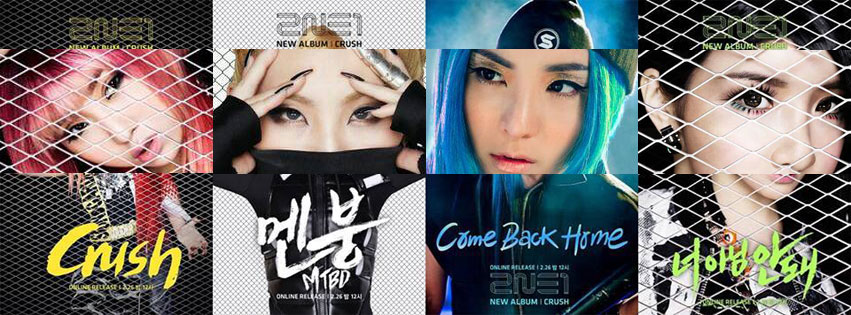 2NE1 CRUSH Facebook Cover