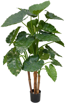 Clear cut PNG TROPICAL PLANT