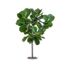 Tree Png Stock 1