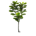 Tree Png Stock