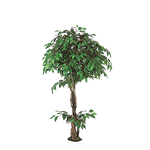 Tree Png Stock 2