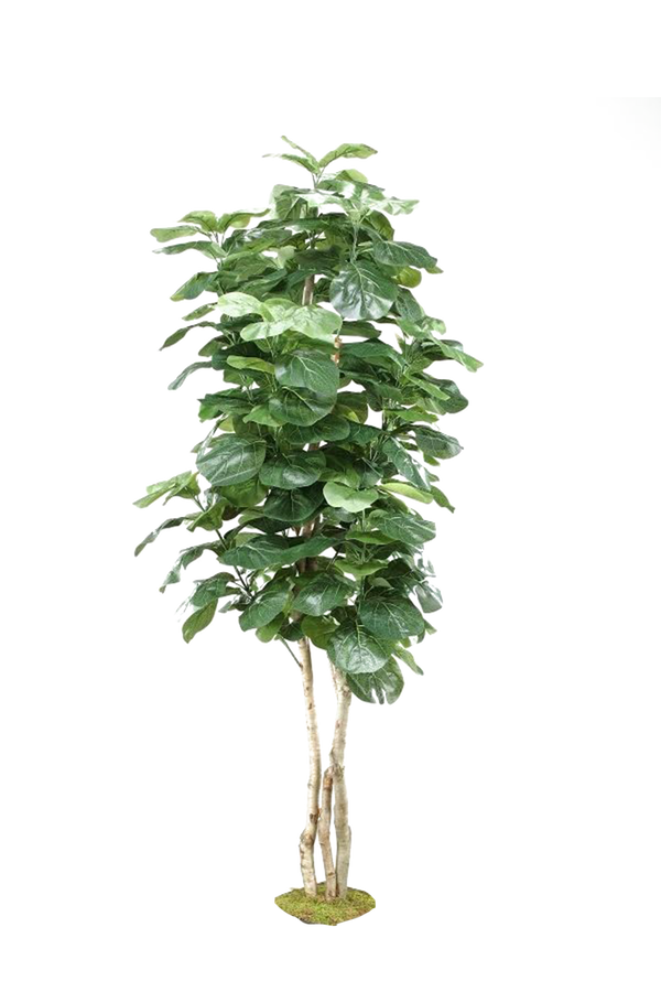 Tree Rack Png Tree Png Stock 7 by Gareng92 on DeviantArt