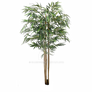 Bamboo Png Stock 1