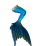 MERMAID TAIL PNG 2