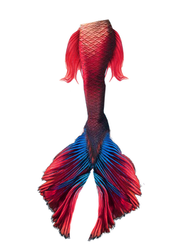 Mermaid Tail Png