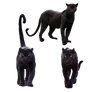 Black Panther Animal Png Pack