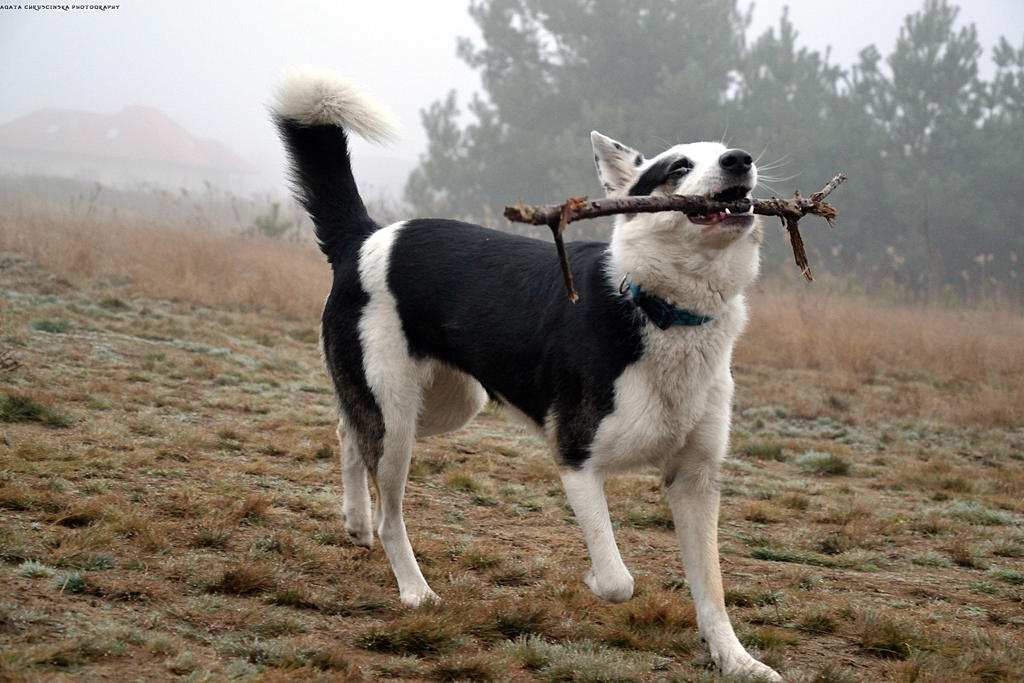 This stick is mine!