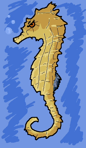 SeaHORSE