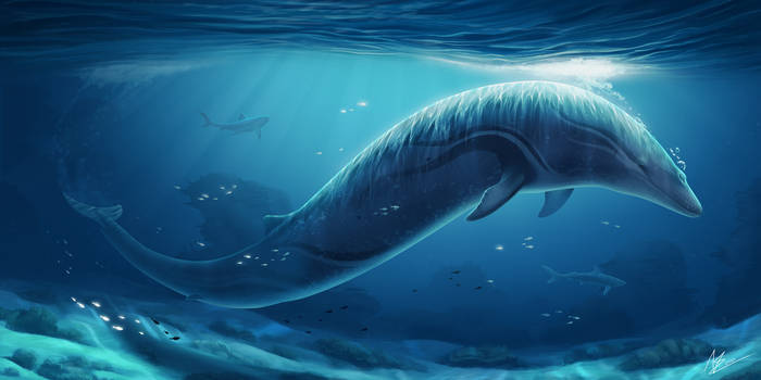 Basilosaurus