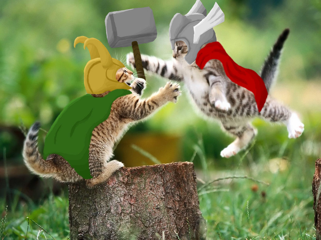 Thor vs Loki - Cat version