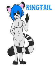 Ringtail