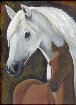 arab foal and mother