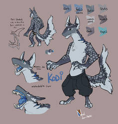 Kodi - Character Sheet